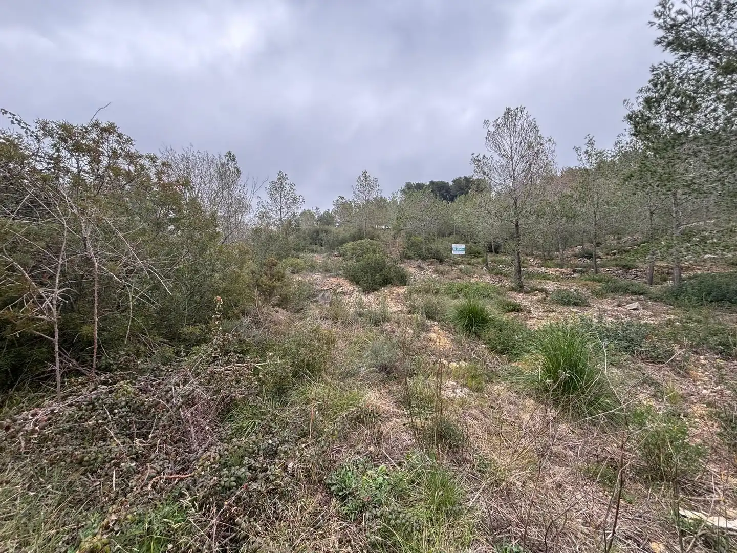 Terreny residencial en venda a Olivella, imagen 24