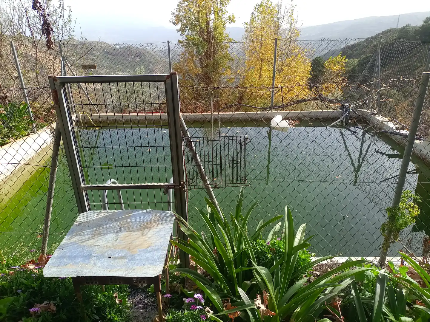 Terreny rústic en venda a Alpujarra de la Sierra, imagen 8