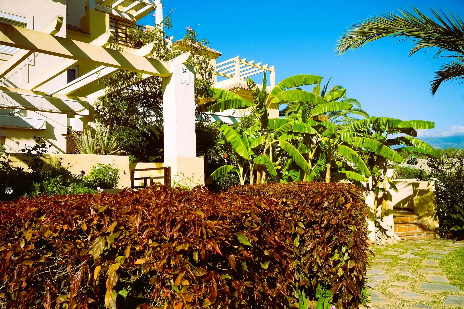 Vista exterior de Casa adosada en venta en Estepona con Aire acondicionado, Calefacción y Jardín privado