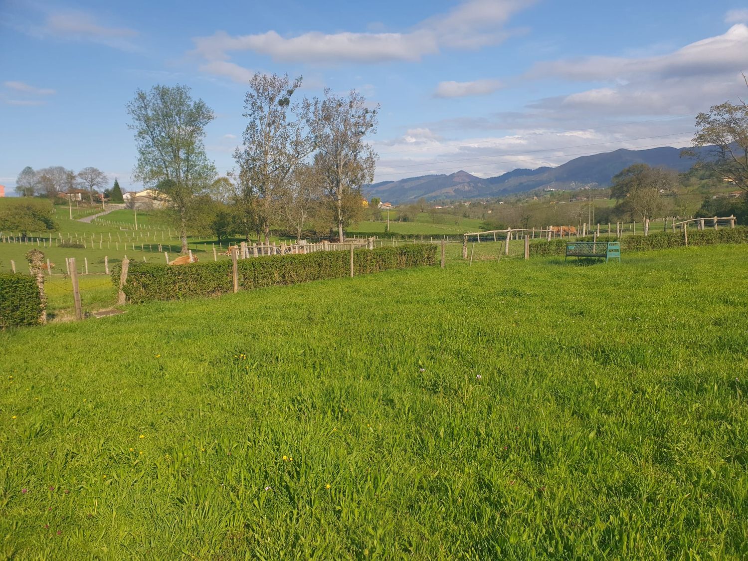 Residential for sale in Aldea Robleu, Nava