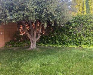 Garden of Single-family semi-detached to rent in  Zaragoza Capital  with Terrace and Storage room