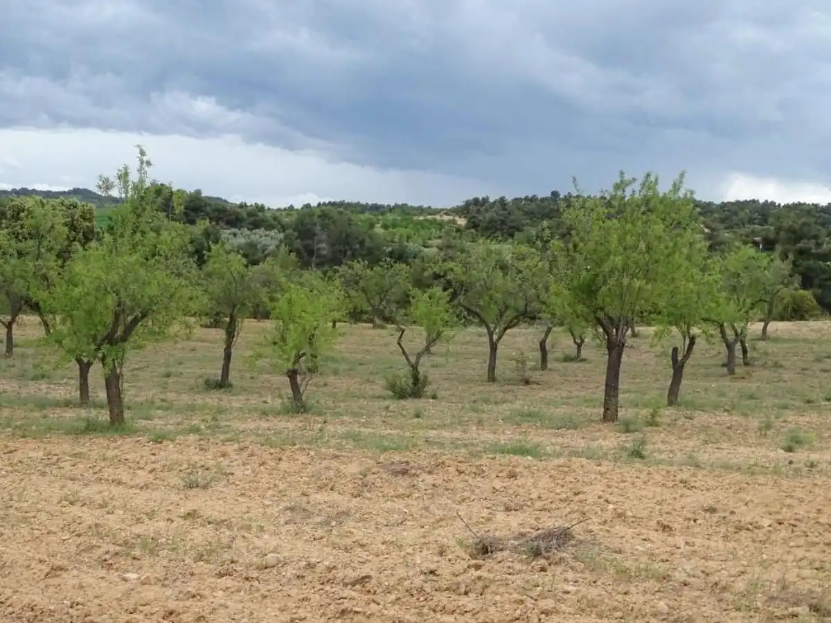 Finca rústica en venta en Cretas
