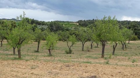 Photo 4 of Country homes for sale in Cretas, Teruel