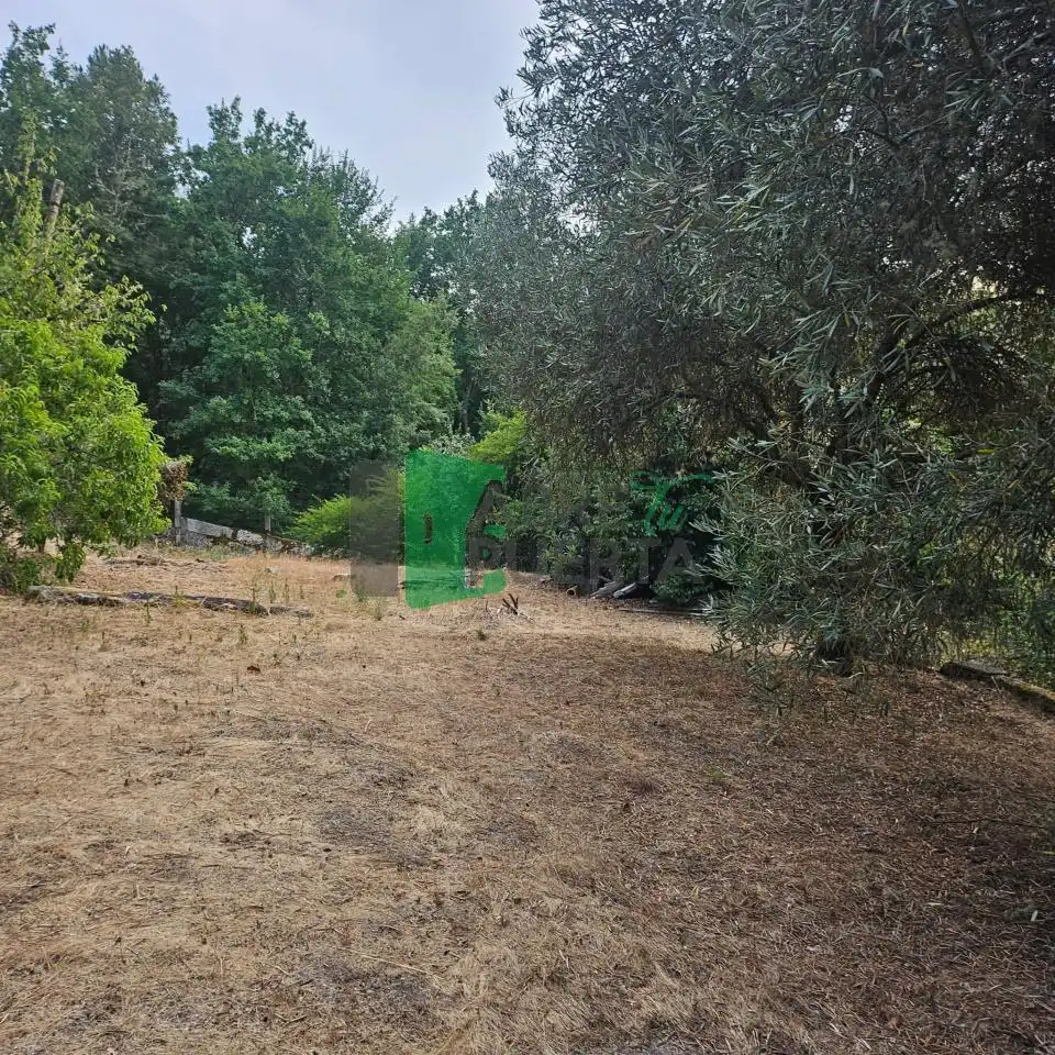 Terreni e lotti in vendita a A Peroxa, imagen 19