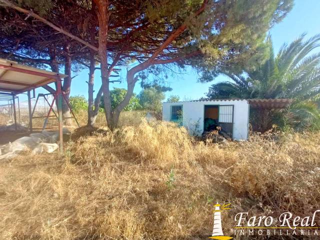 Finca rústica en Venta en La Jara