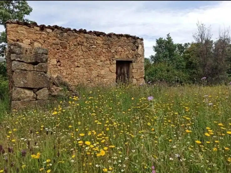 Terreni e lotti in vendita a Villanueva de la Vera, imagen 2