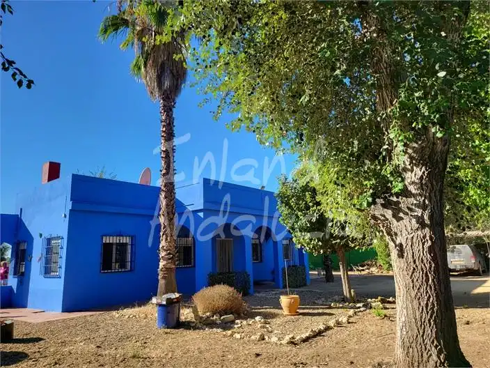 Maison avec piscine à vendre à Marchena, imagen 5