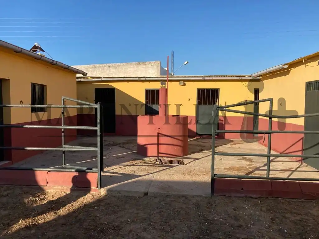 Terreno rustico in vendita a Lepe, imagen 5