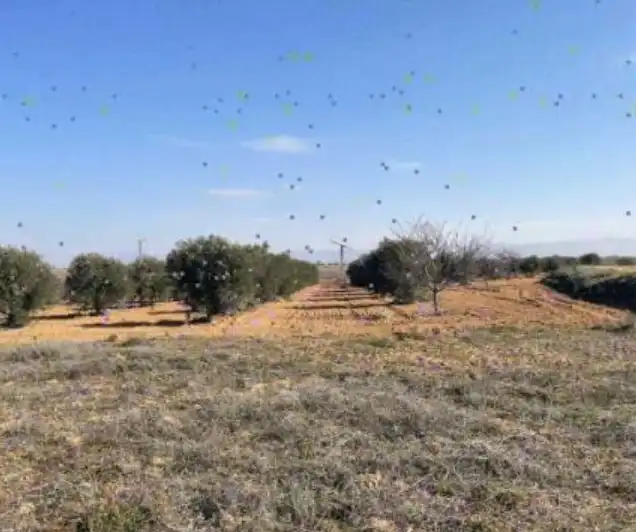 Terreno rustico in vendita a La Puebla de Almoradiel, imagen 2