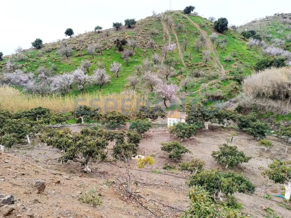 Finca rústica en venda en Vélez-Málaga amb Aire condicionat, Jardí privat i Traster