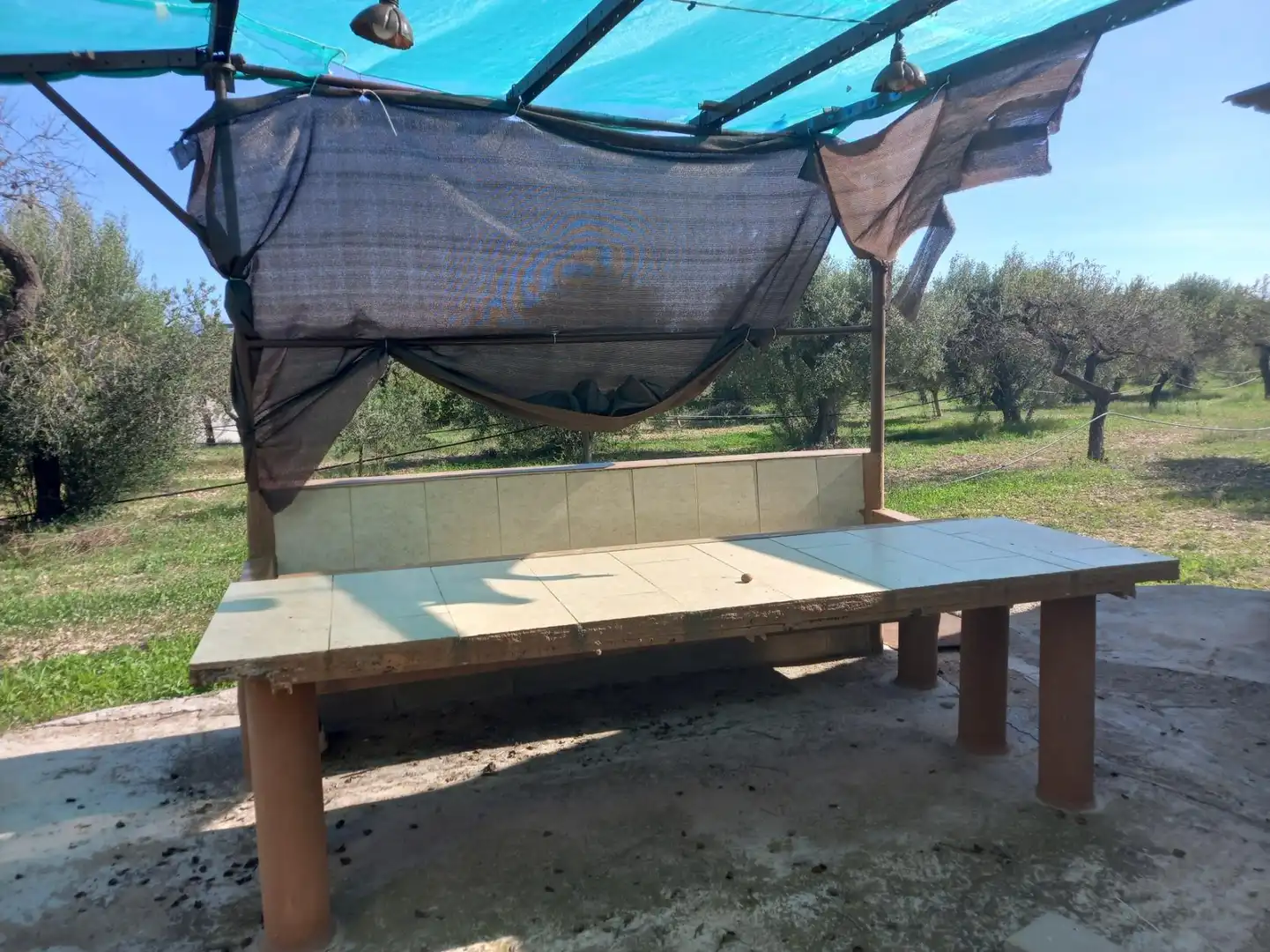 Terreno rústico en venta en Móra d'Ebre, imagen 23