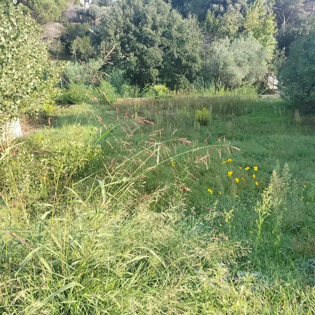 Residential land for sale in Carretera Carretera de la Sagrera 28, imagen 2