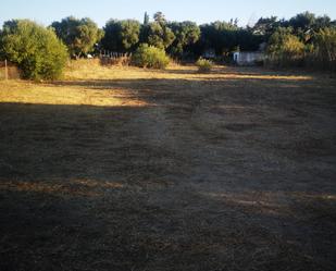 Land for sale in Barbate