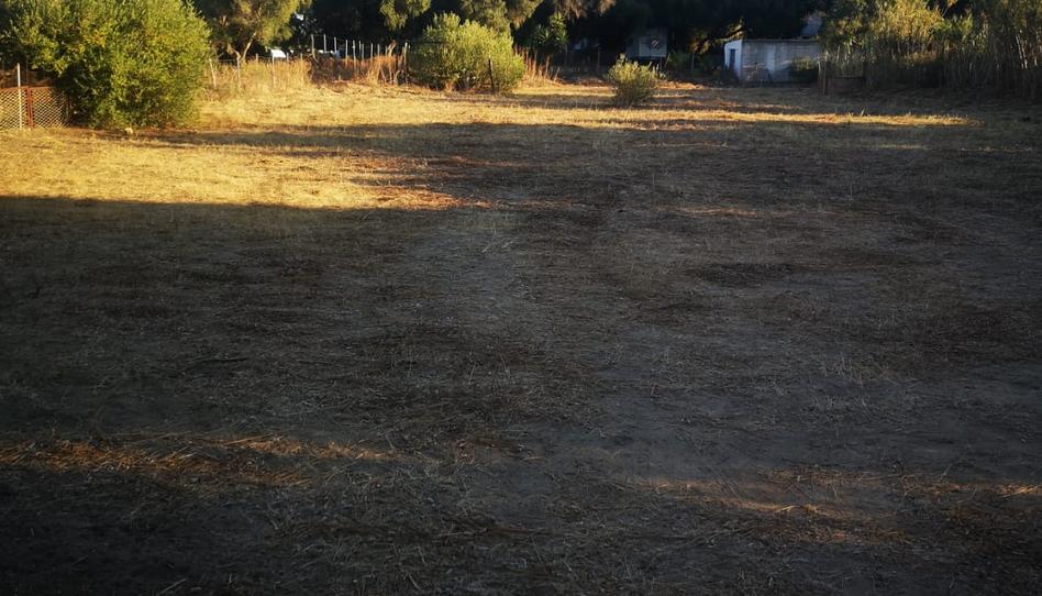 Photo 1 of Land for sale in Pago Zahora, 308, Zahora, Cádiz