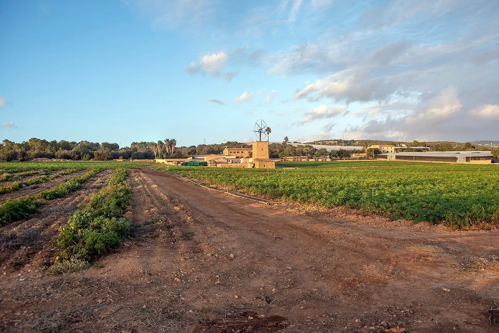 Vista exterior de Finca rústica en venta en  Palma de Mallorca con Calefacción, Jardín privado y Terraza