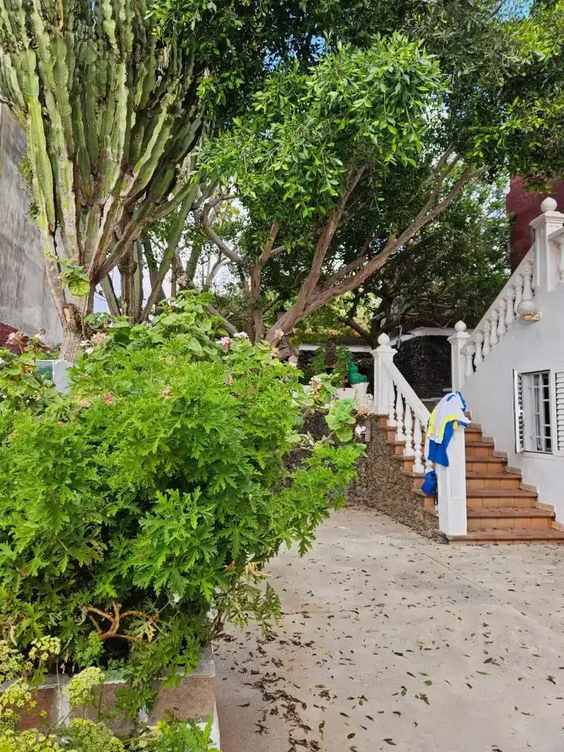 Garten von Erdgeschoss zur Miete in Las Palmas de Gran Canaria mit Privatgarten und Waschmaschine