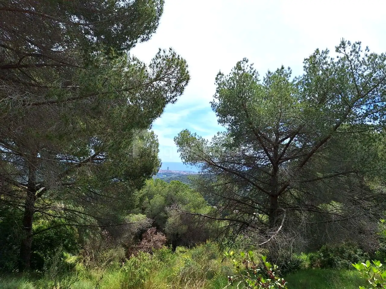 Lands and plots for sale in Nucli Urbà, imagen 7
