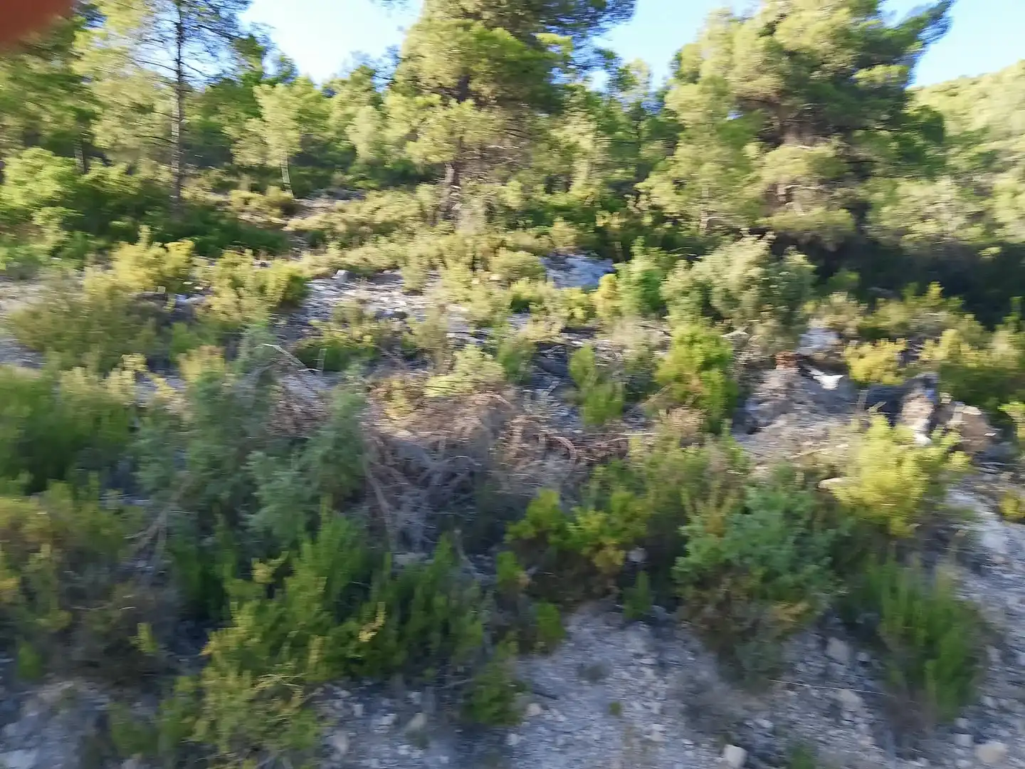 Terreny rústic en venda a N/A, imagen 19