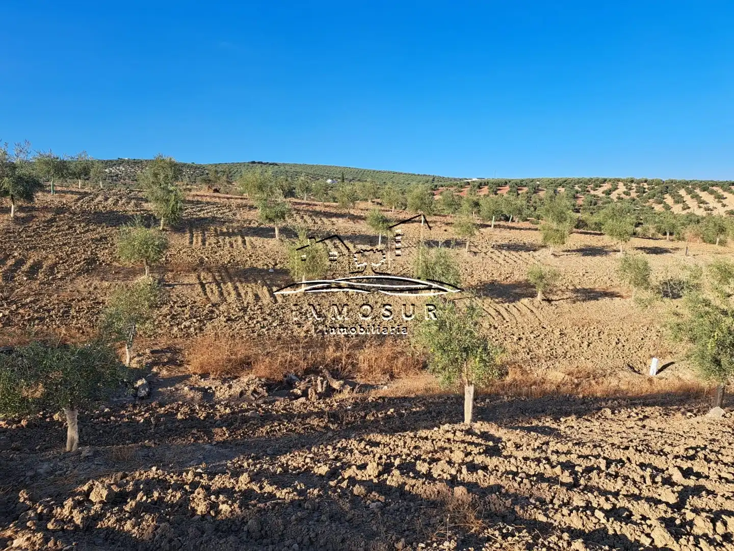 Terrain rustique à vendre à Las Vegas - Campoaras, imagen 12
