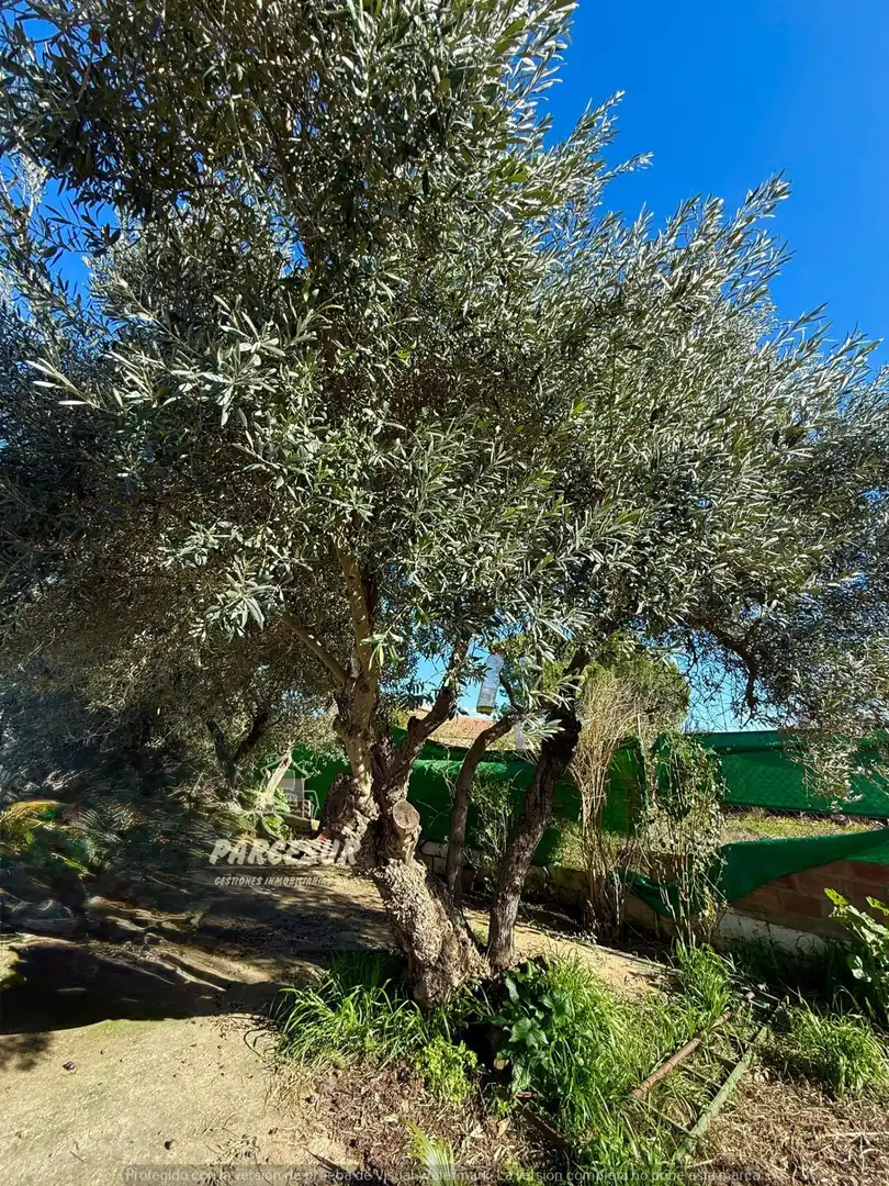 Garten von Country house zum Verkauf in Almodóvar del Río mit Abstellraum