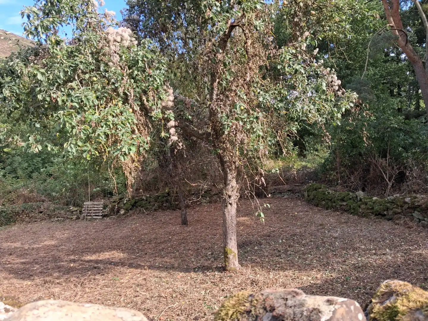 Casa o xalet en venda en Espinosa de los Monteros amb Jardí privat, Terrassa i Balcó