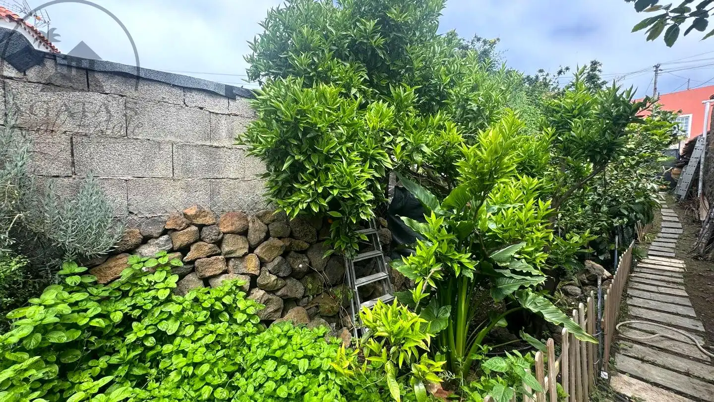 Maison rustique avec jardin à vendre à La Vega - El Amparo - Cueva del Viento, imagen 15