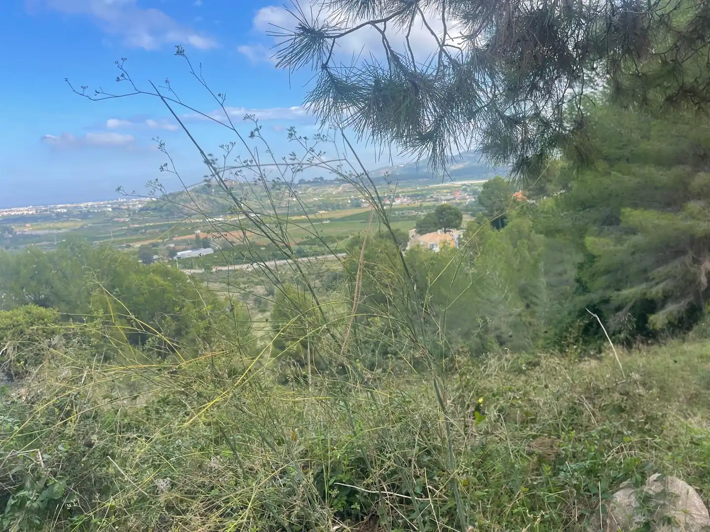 Terreno residencial en venta en Calle Salze 1, imagen 5