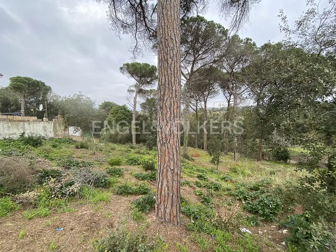 Terreno residencial en venta en Mas Mora - Sant Daniel, imagen 3