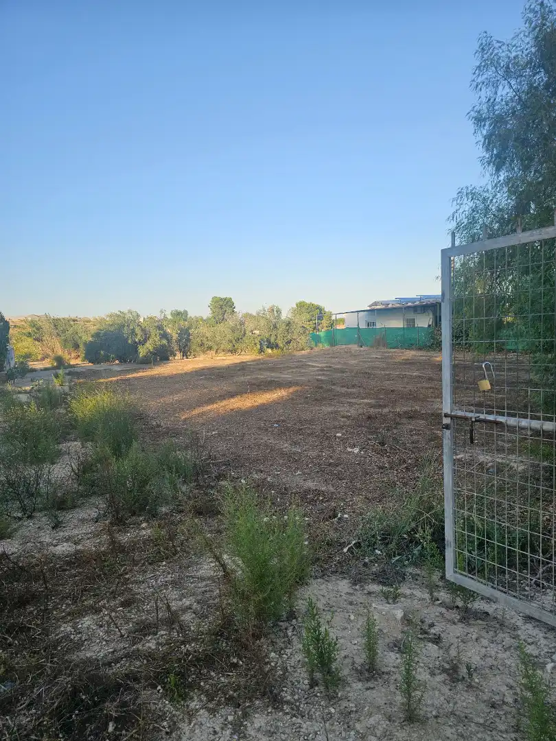 Terreny rústic en venda a Ceutí
