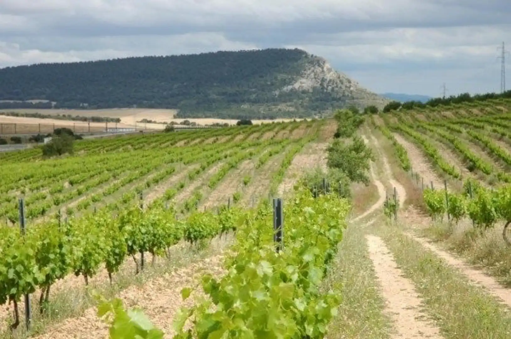 Rustikales Grundstück zum Verkauf in Almansa, imagen 2
