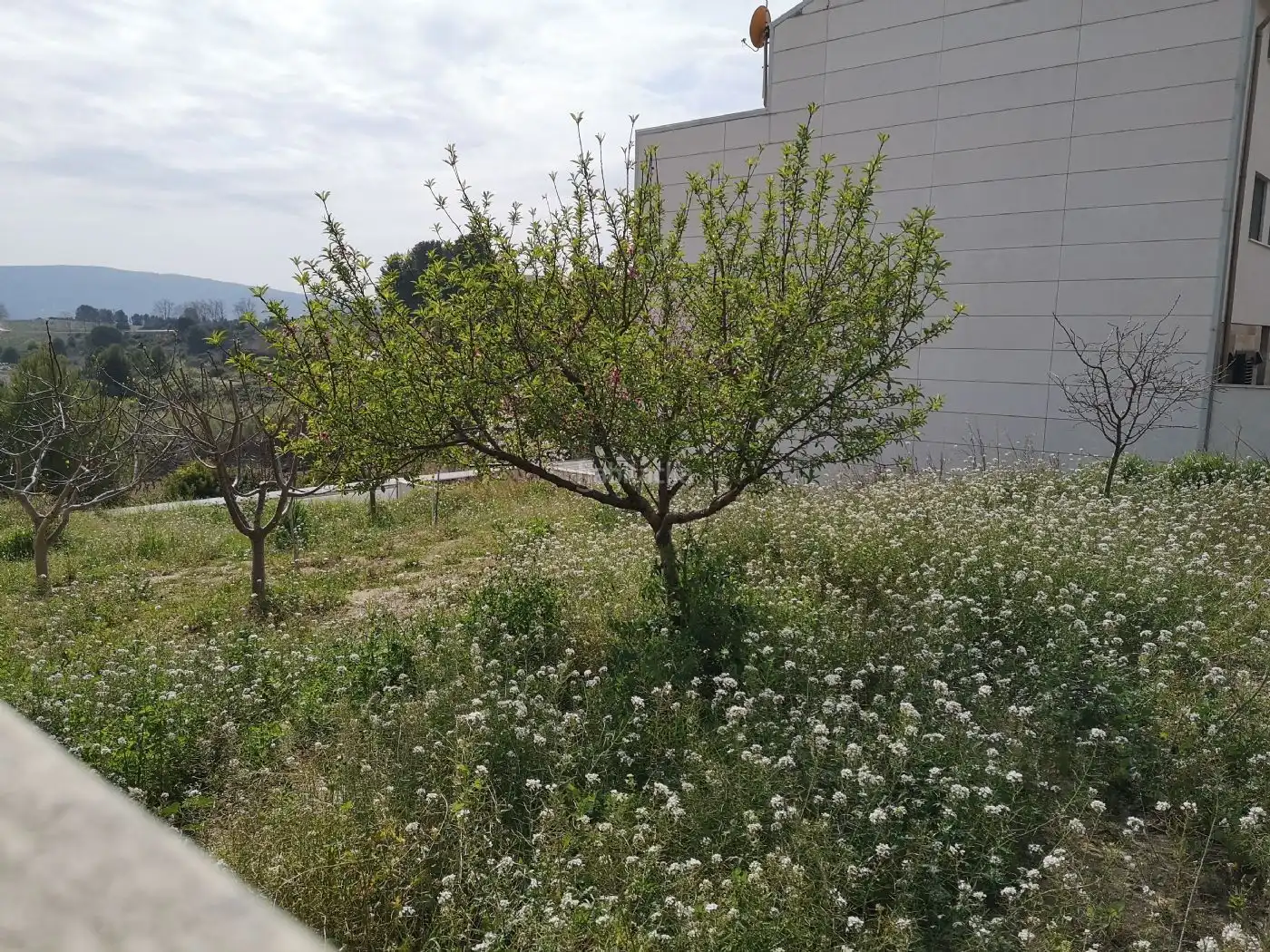 Grundstücke und Bauplätze zum Verkauf in Sant Llorenç d'Hortons, imagen 6