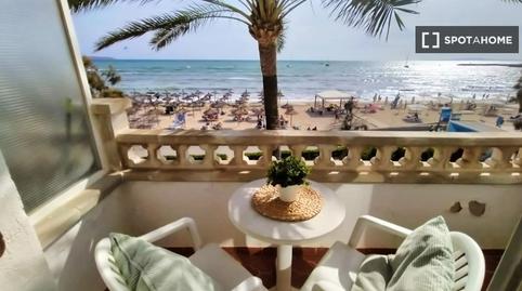 Photo 2 of Study to share in Can Pastilla, Illes Balears