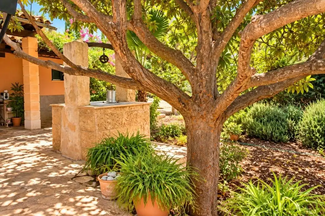 Country house with pool for sale in Centro, imagen 36