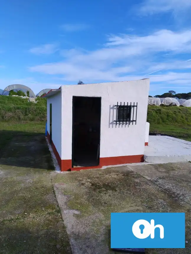 Vista exterior de Finca rústica en venta en Bonares
