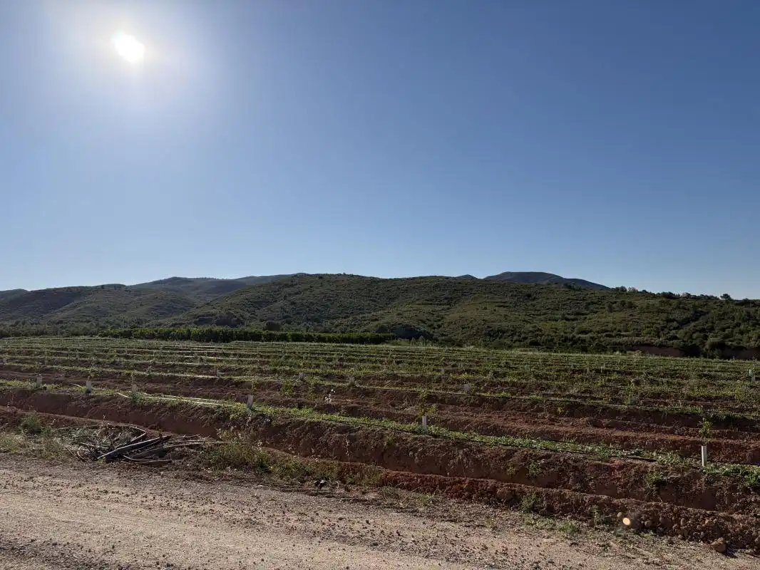 Vista exterior de Finca rústica en venda en Pedralba amb Calefacció, Jardí privat i Terrassa