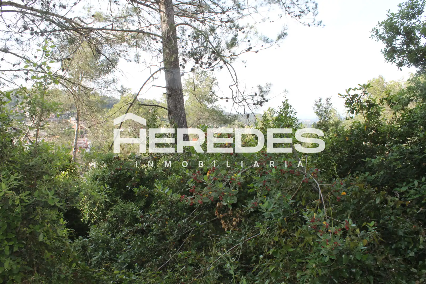 Terreno residencial en venta en Carrer Ronda del Moli 15, imagen 6