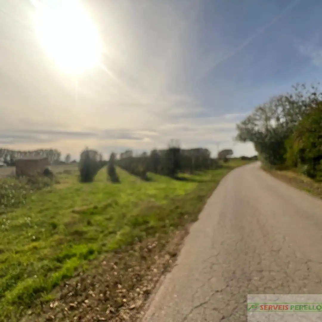 Terrenos y solares en venta en Golmés, imagen 6