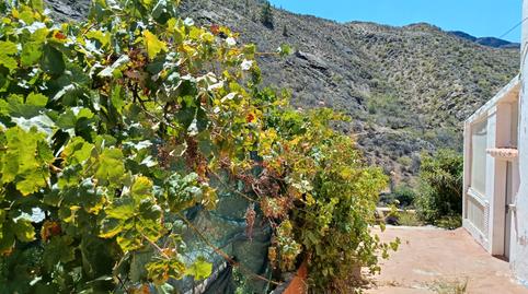 Foto 4 de Finca rústica en venta en Calle las Moradas, Artenara, Las Palmas