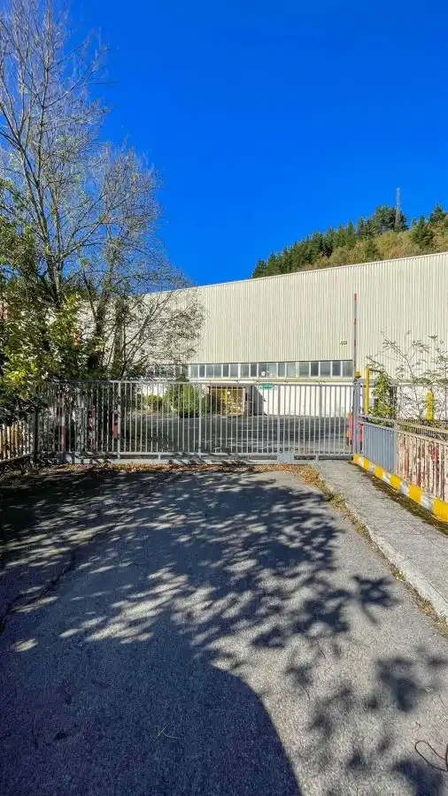 Nave industrial en venta en Calle Aingeru Guarda pasealekua, Eskoriatza
