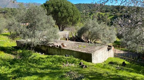 Foto 2 de Terreno en venta en  Paraje de Celima,, Casares pueblo, Málaga