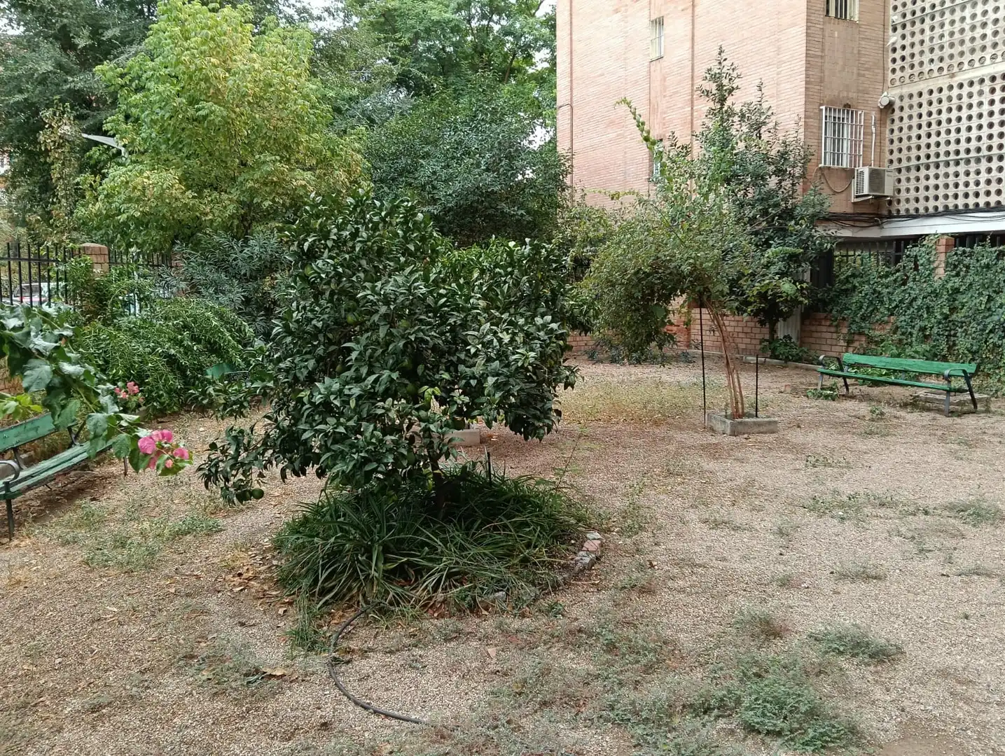 Garten von Wohnung zum Verkauf in Córdoba