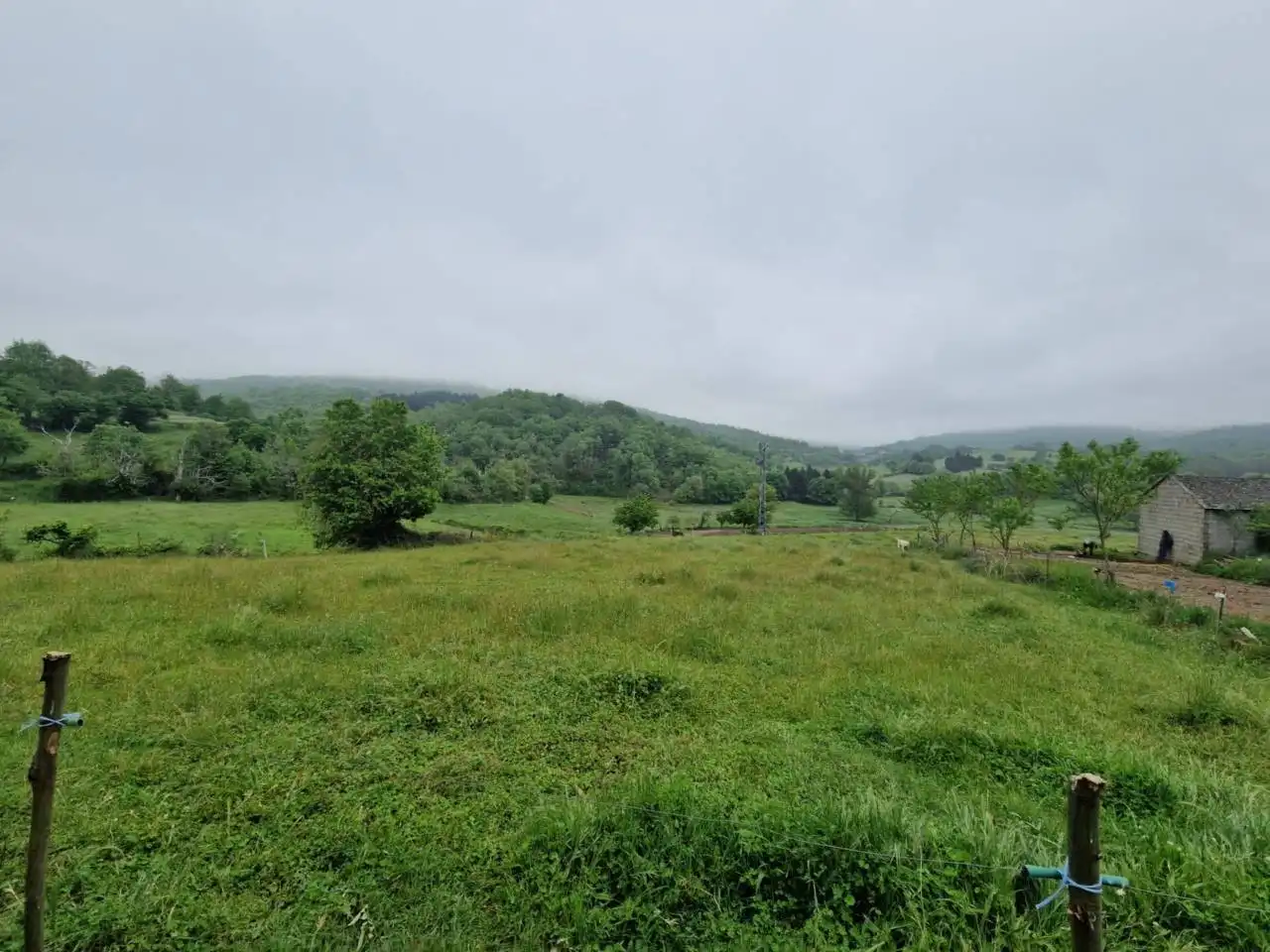 Houses for sale in O Bolo 