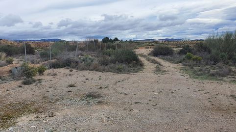 Parcela Rustica en el Poligono Industrial de Cantoria, immagine 5