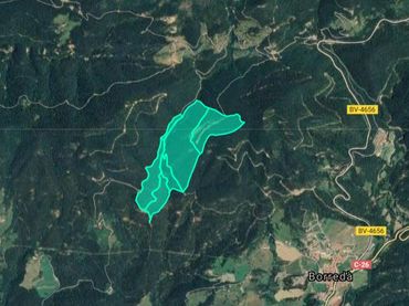 Terreno rustico in vendita a Borredà