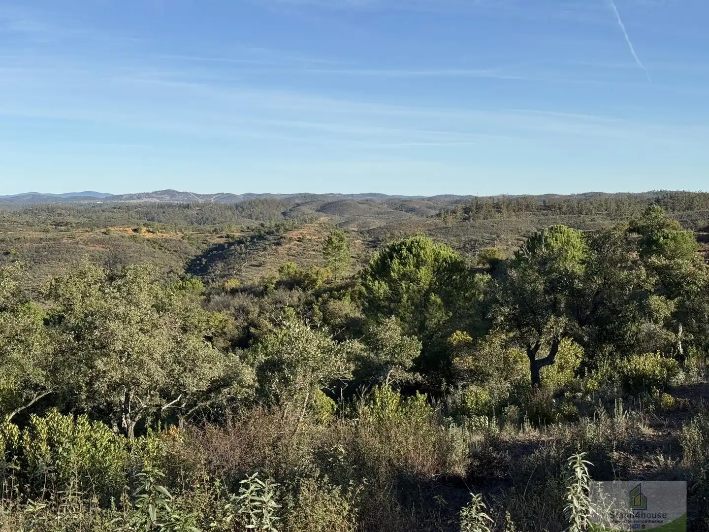 Finca rústica en venta en Berrocal