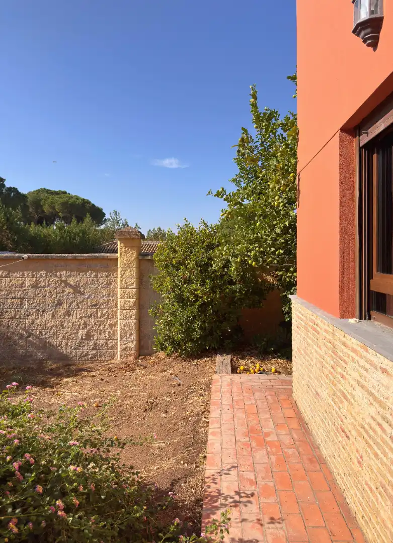 Jardín de Casa o chalet en venta en Carmona con Aire acondicionado, Calefacción y Jardín privado
