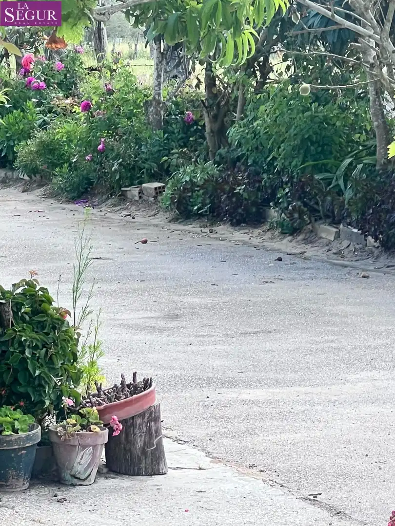 Casa rústica en venda a Vejer, imagen 2