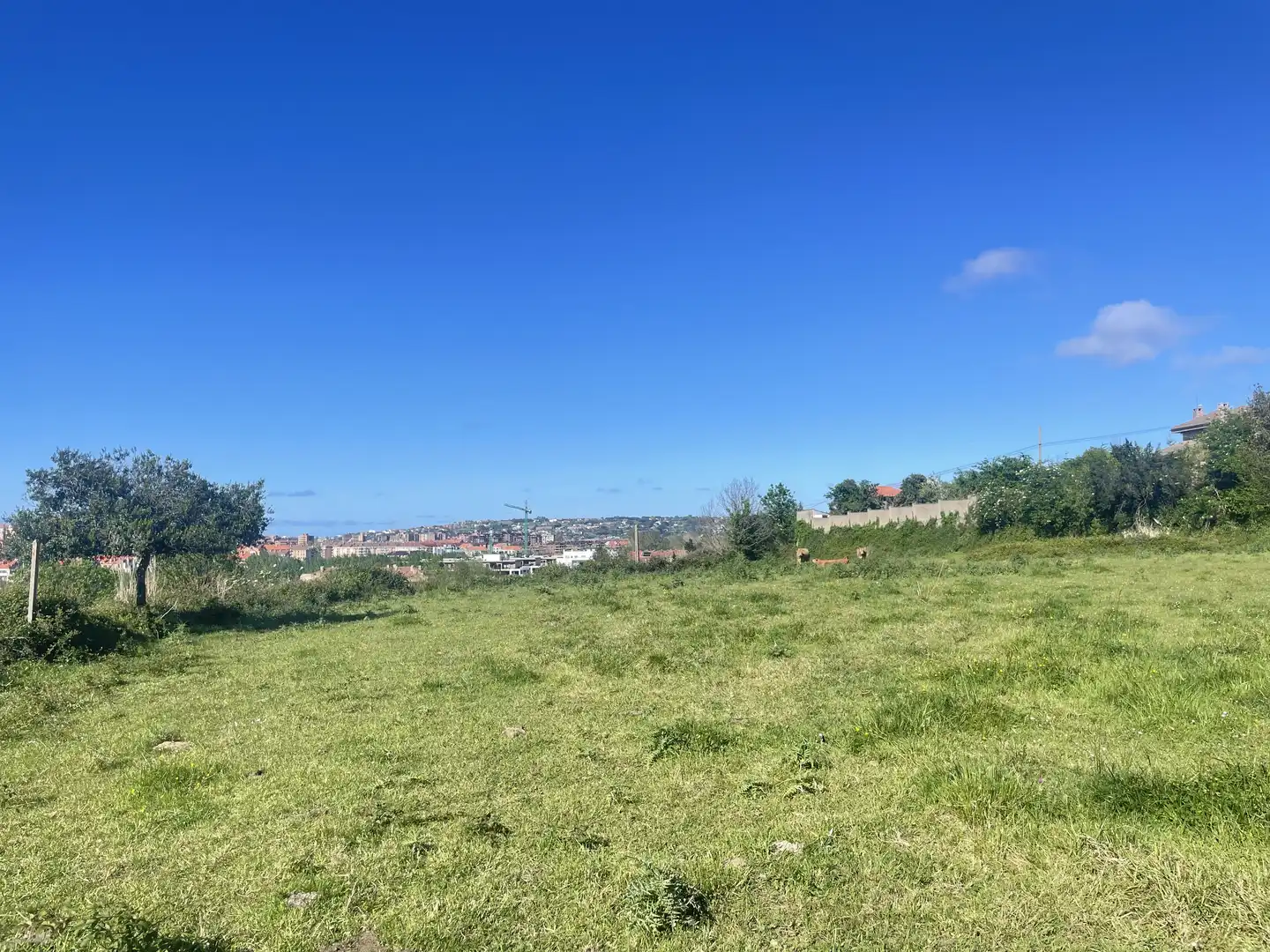 Terreno residenziale in vendita a Rural, imagen 3