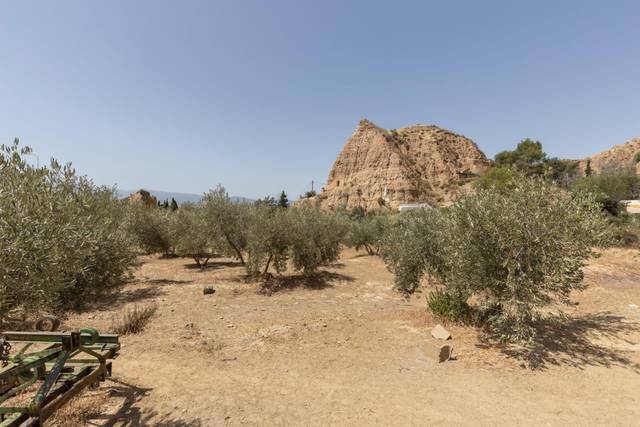 Terreno en Venta en Guadix