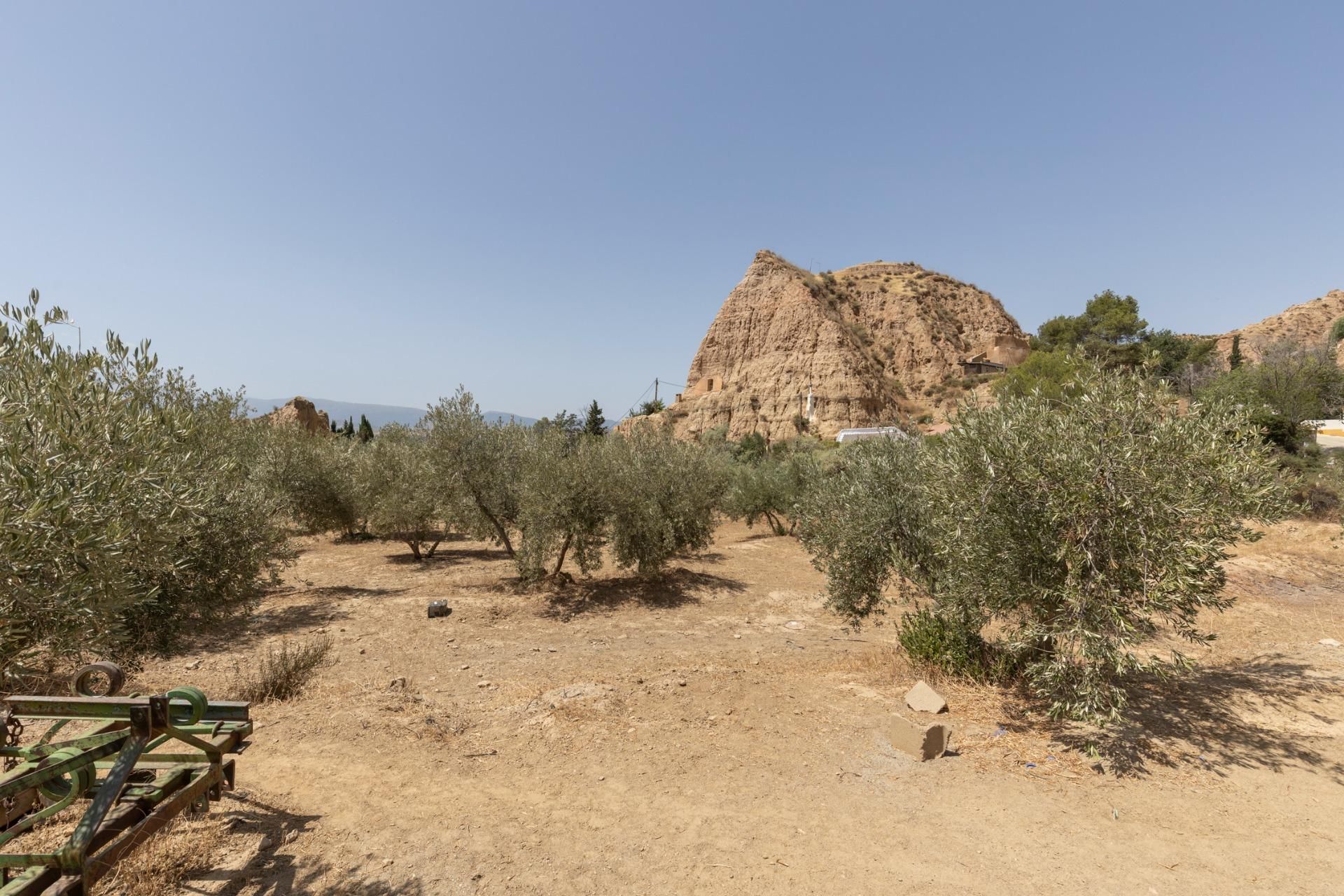 Land for sale in Guadix
